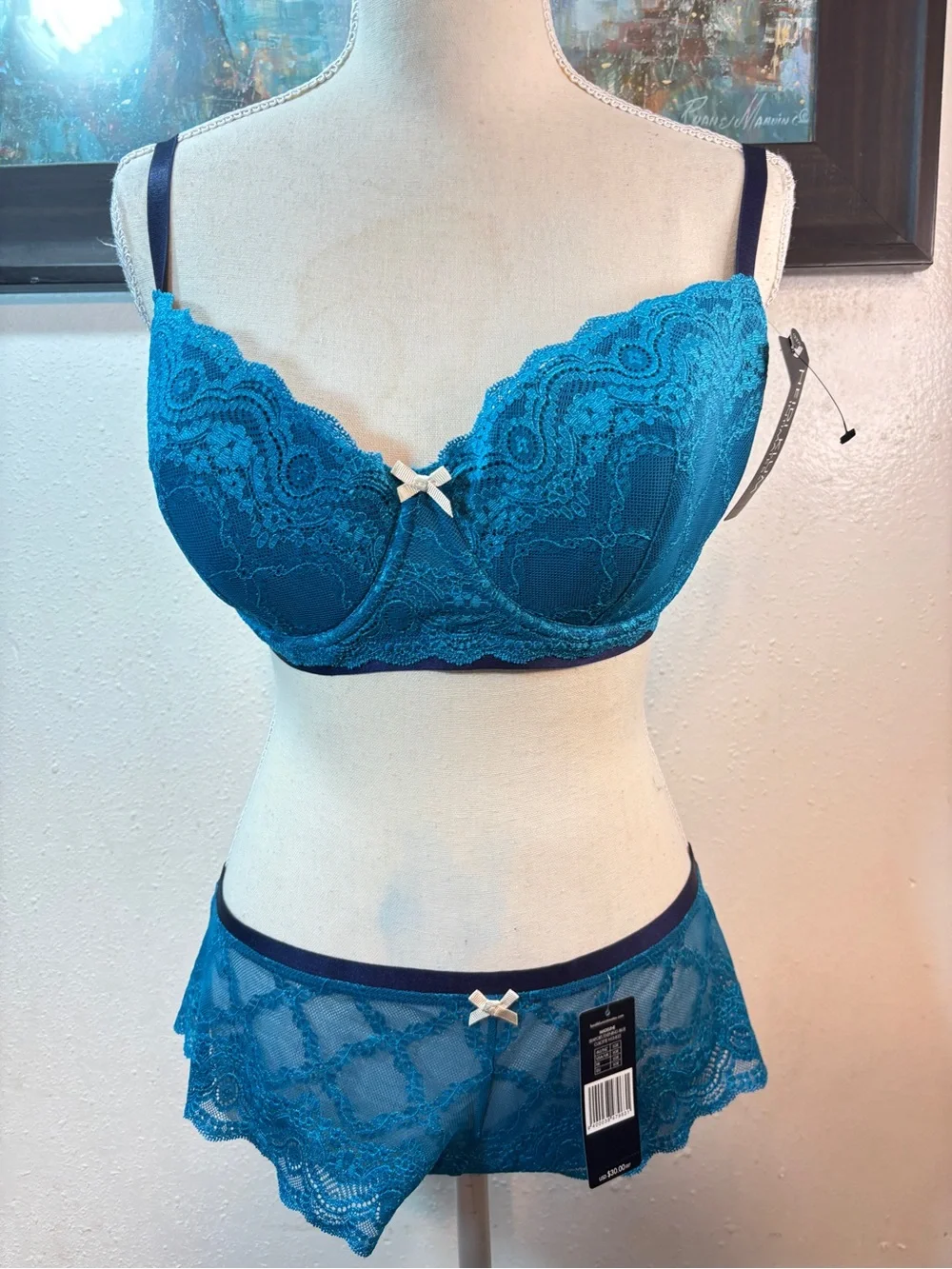 Teal Lace Underwire Bra & Lace Briefs - Supportive Women's Intimates